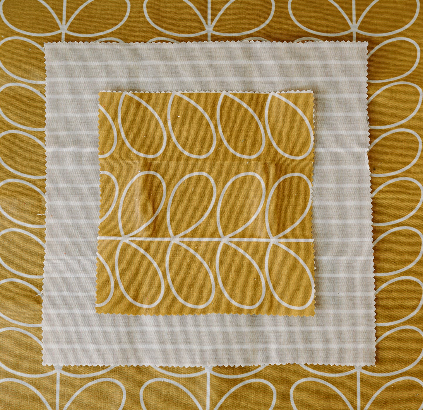 Beeswax Food Wrap | 3 Pieces | Dandelion