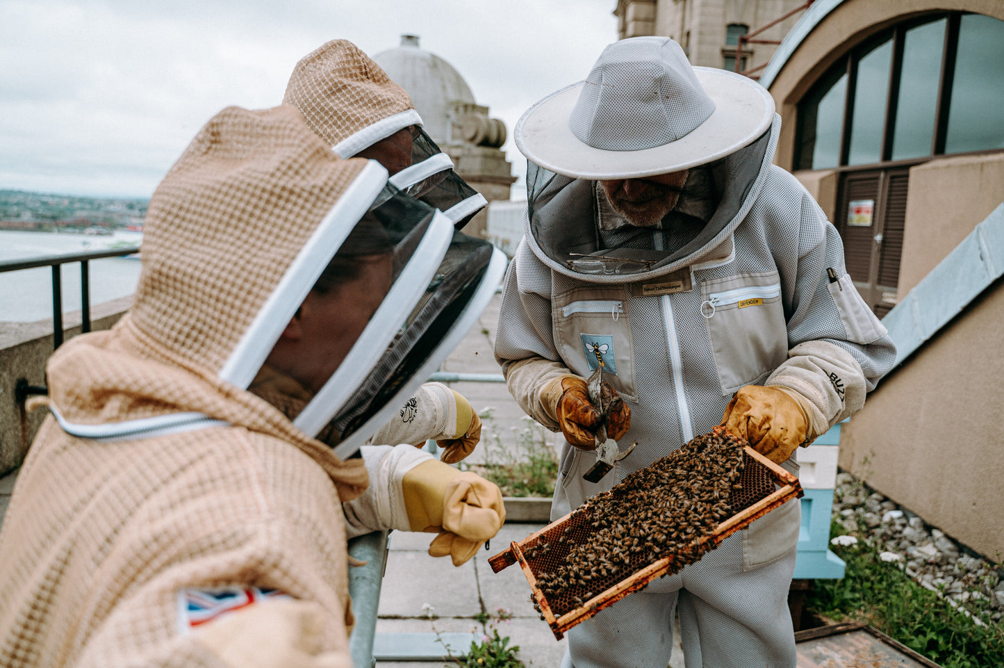 Beekeeping Experience on the Royal Liver Building