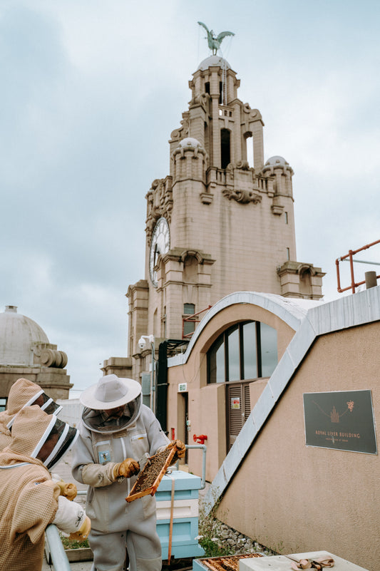 Beekeeping Experience on the Royal Liver Building