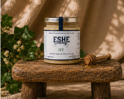 Ivy Honey