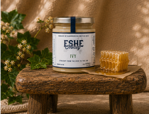 Ivy Honey